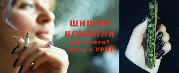 соль ск Кукмор