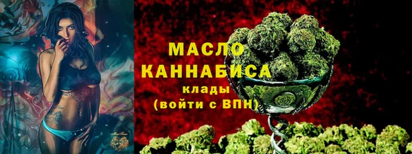 соль ск Кукмор